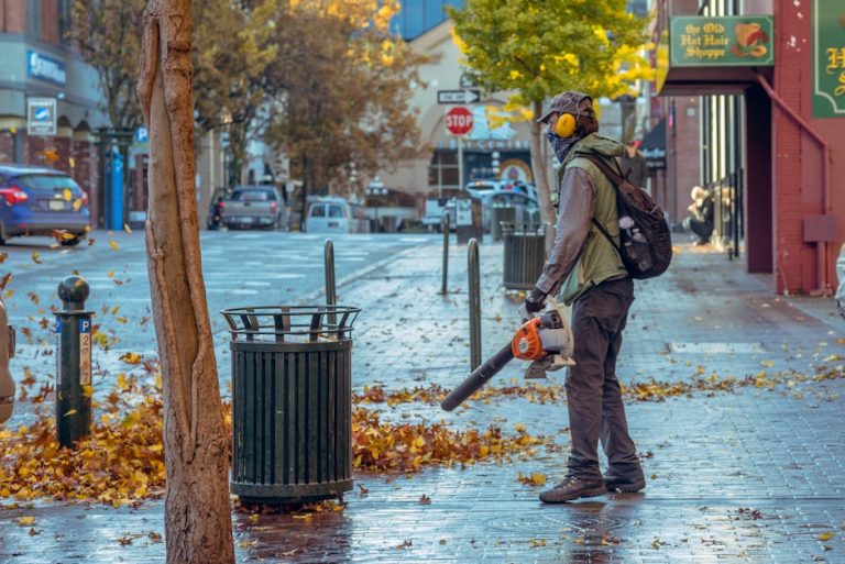 Best cordless leaf blowers reviewed
