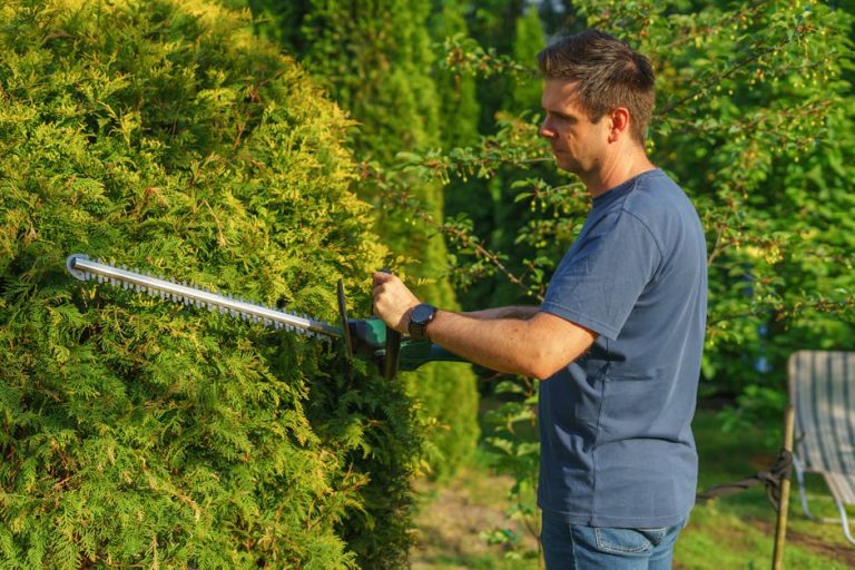Best cordless hedge trimmers 2025