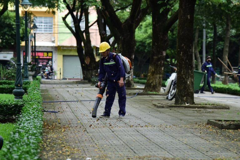 Best cordless leaf blowers under $100
