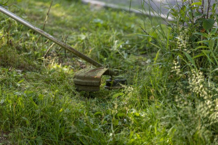 Best cordless string trimmers 2025