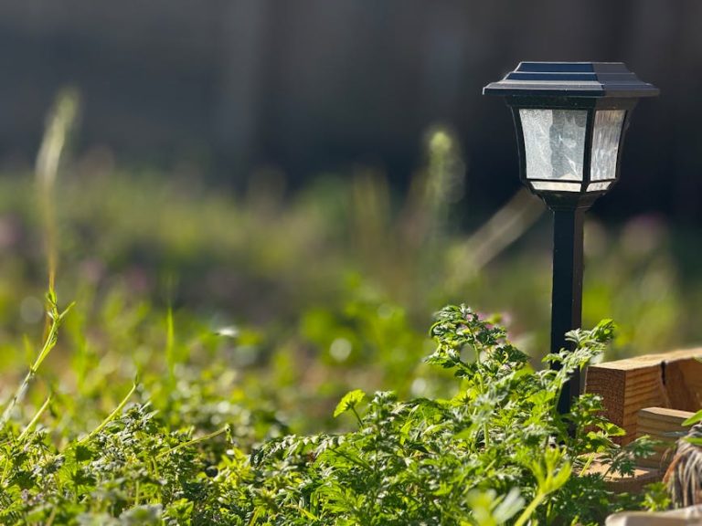 How to install solar path lights in yard