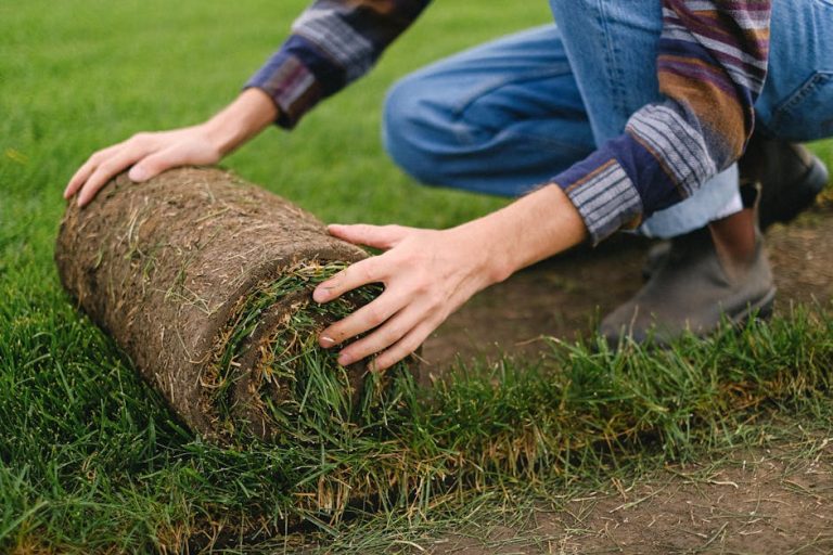 How to lay sod in your yard yourself